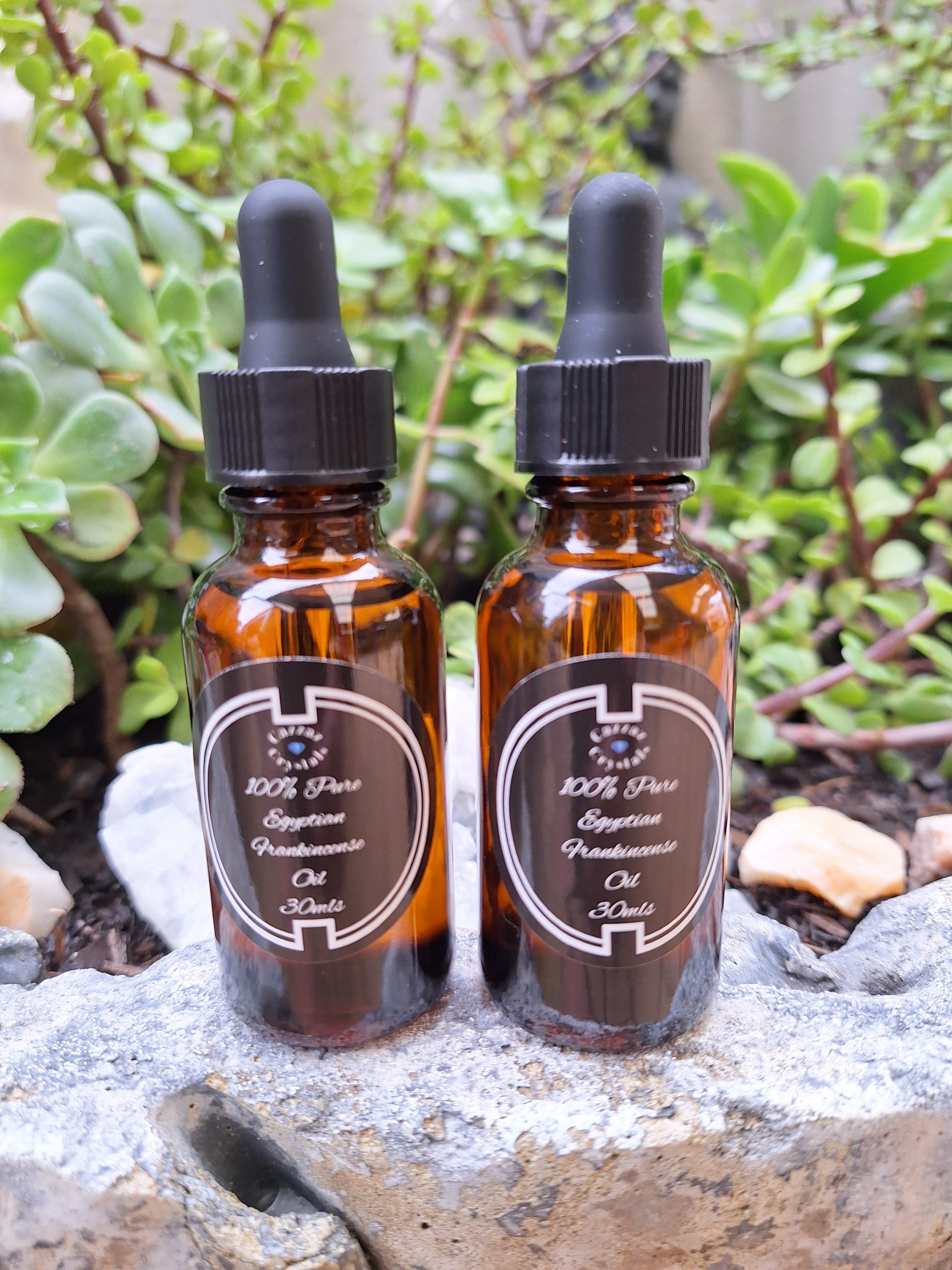 Frankincense Egyptian Oil